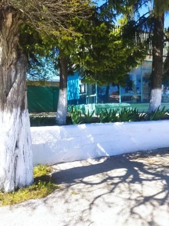 ������� �����������